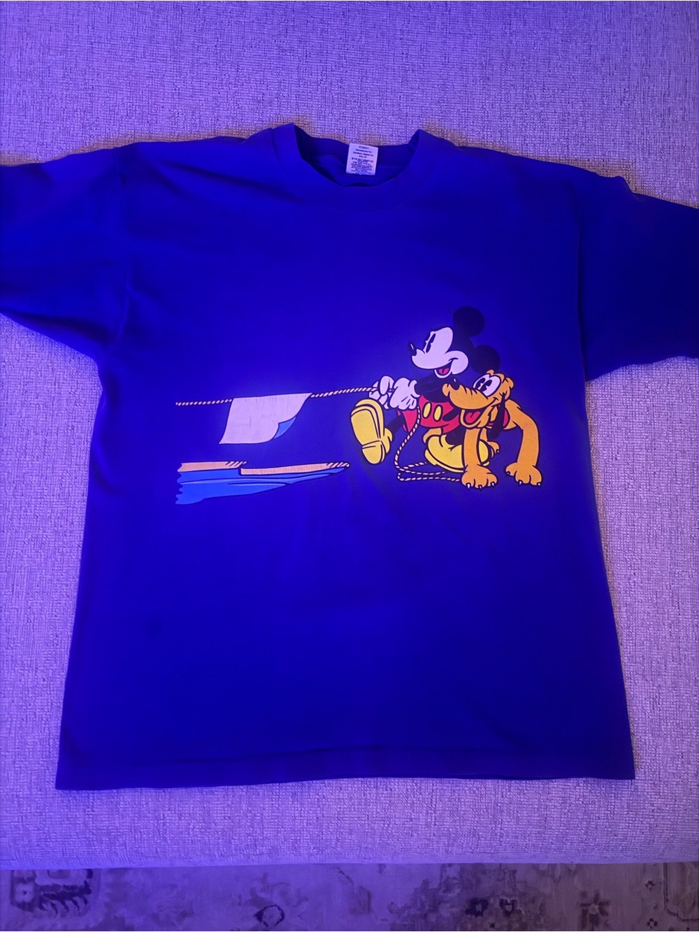 Disney Blue Mickey Mouse & Pluto Graphic Tee